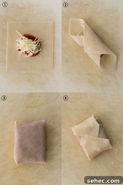 Crispy Air Fryer Pizza Rolls Recipe 4 how to make air fryer pizza rolls step by step