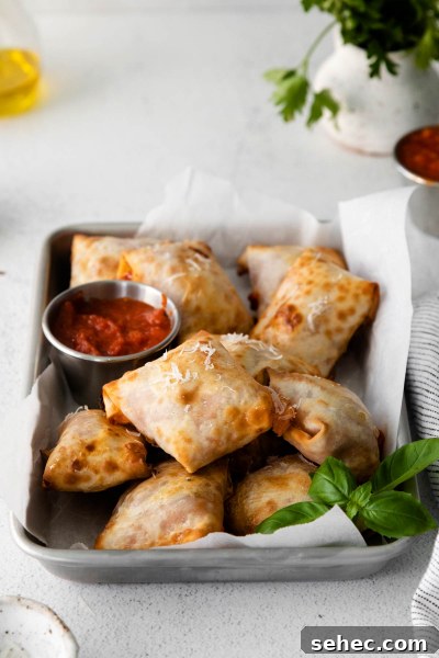 Crispy Air Fryer Pizza Rolls Recipe 8 tray of homemade air fryer pizza rolls