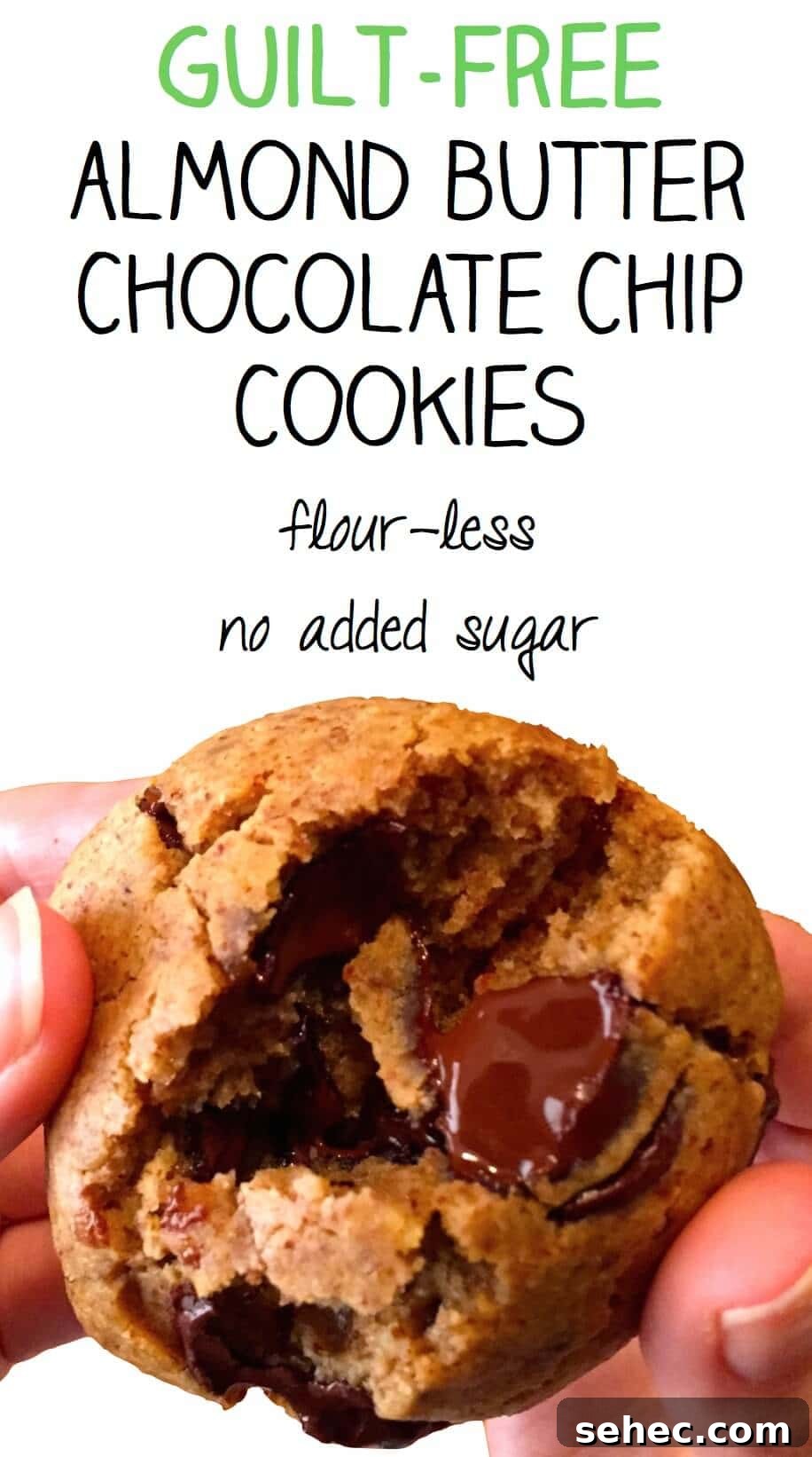 Fudgy Chocolate Avocado Cookies 10 Paleo chocolate chip cookies