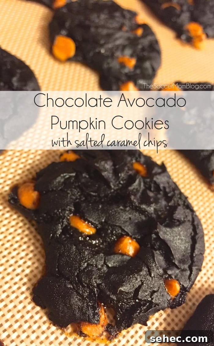 Fudgy Chocolate Avocado Cookies 9 Chocolate avocado pumpkin cookies