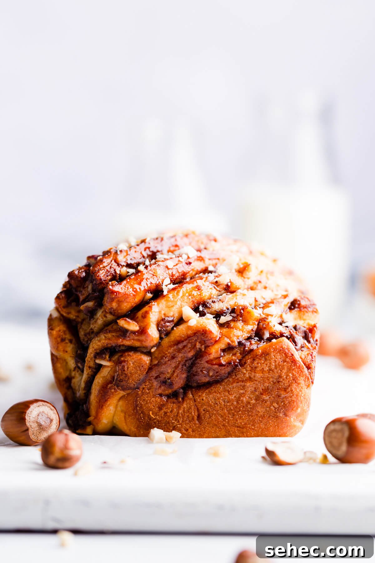 Nutella Babka Recipe: Chocolate-Hazelnut Swirl Loaf 13 straight ahead super close up of baked babka