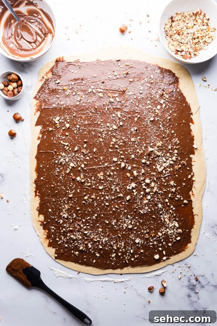 Nutella Babka Recipe: Chocolate-Hazelnut Swirl Loaf 7 overhead view of a babka dough topped with nutella and hazelnuts