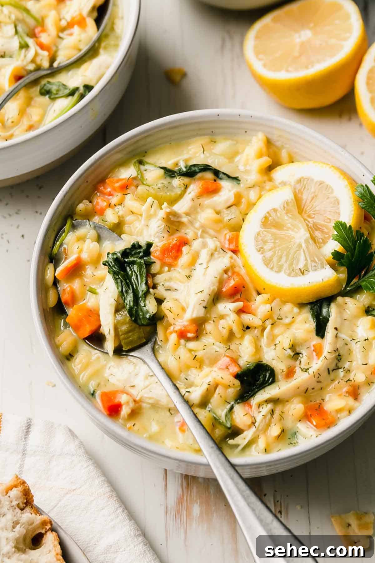 Gluten-Free Lemon Chicken Orzo Soup Recipe 2 Lemon chicken orzo soup in a bowl garnished with lemon slices and parsley.