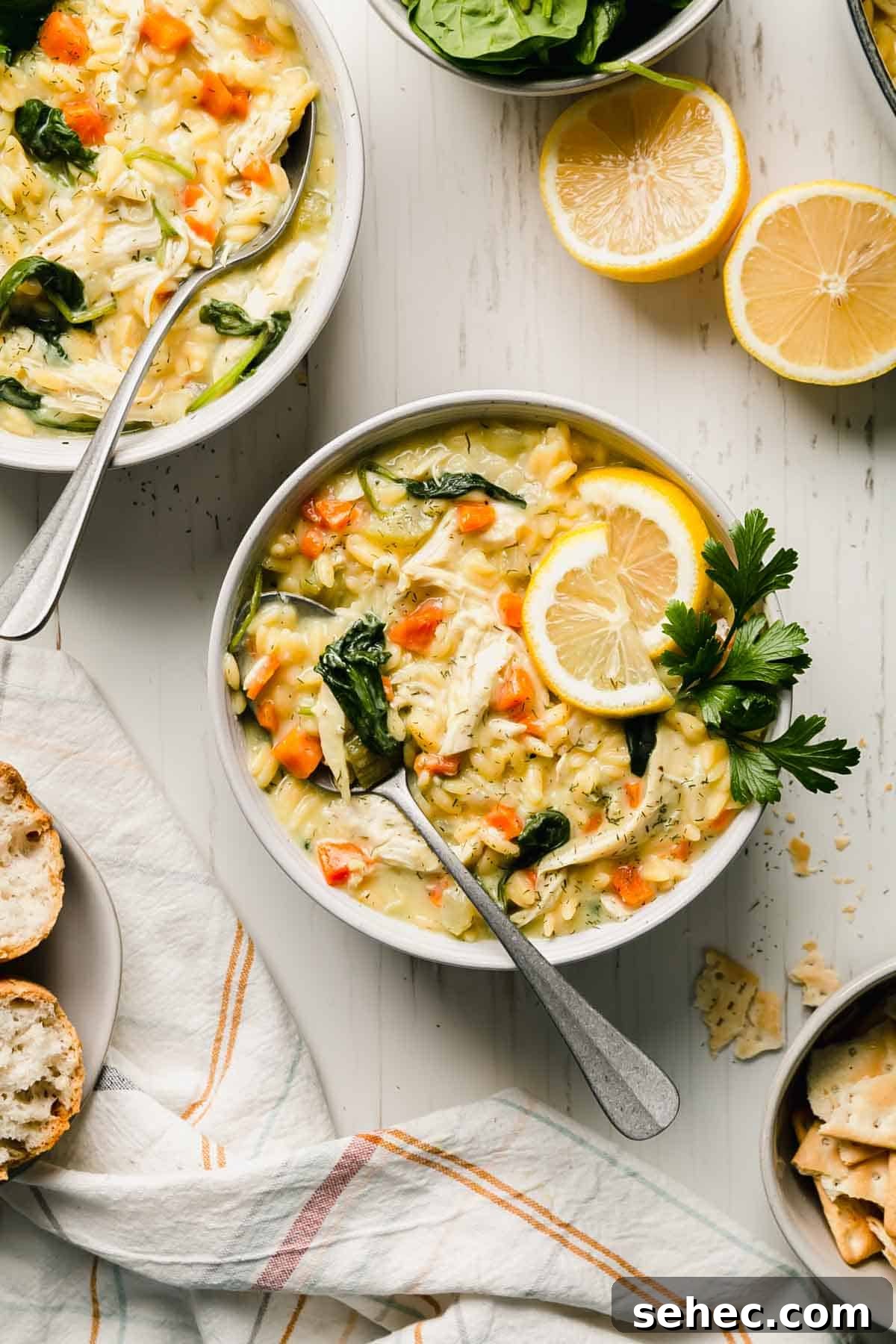 Gluten-Free Lemon Chicken Orzo Soup Recipe 7 Lemon chicken orzo soup fills a bowl with wilted spinach peaking out, garnished with lemon slices and fresh parsley.