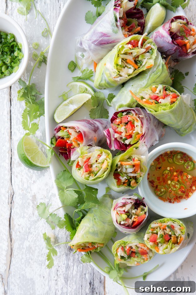 Chinese Salad Spring Rolls | Bakers Royale