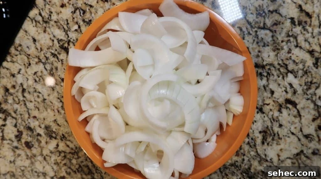 Onion sliced into strips