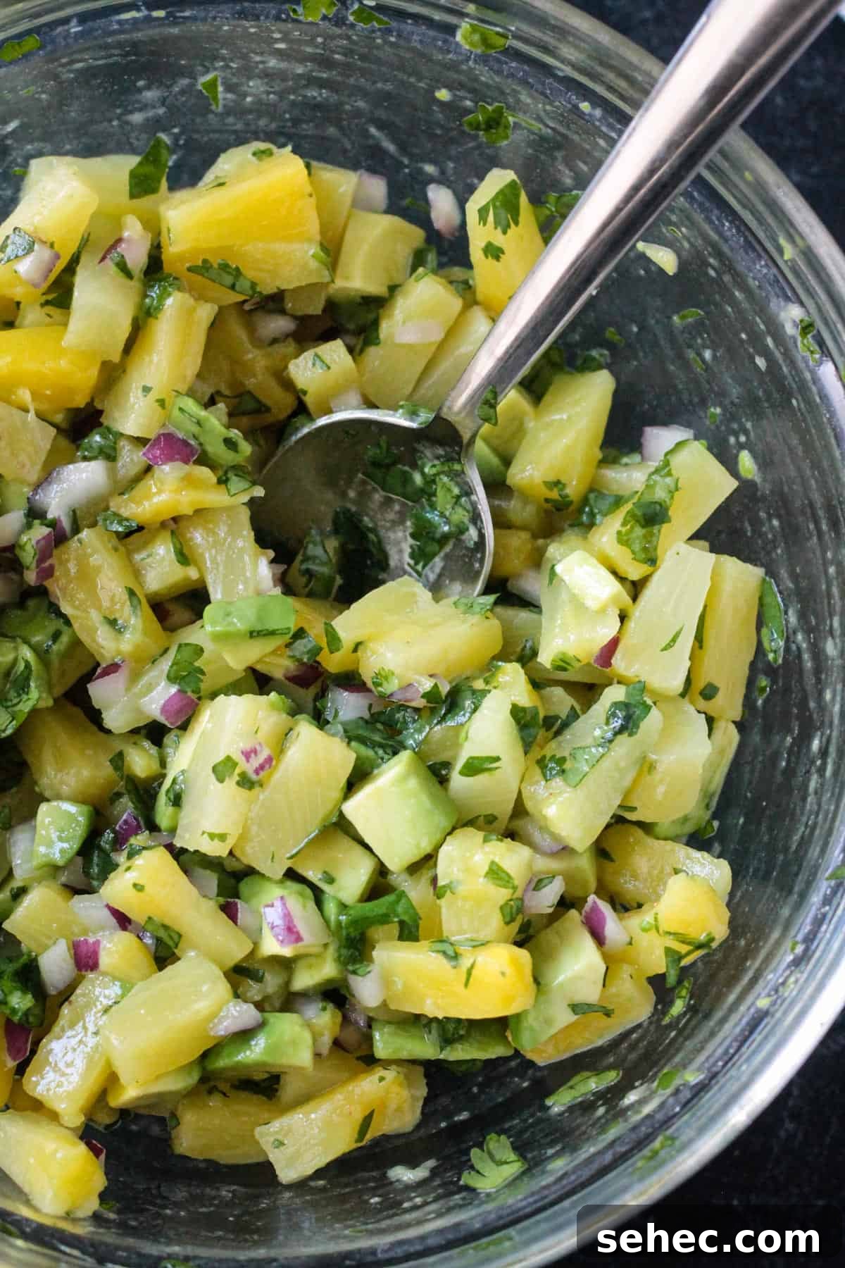 Fresh Pineapple and Avocado Salsa with Lime 6 Close up of diced pineapple and avocado in a fruit salsa.