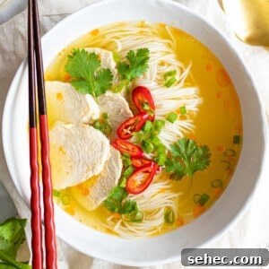 a bowl of easy Asian chicken noodle soup with red chopsticks, fresh herbs, red chilis, and chicken breast