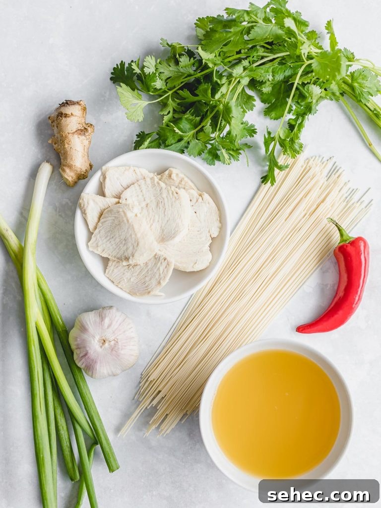 ingredients for Asian chicken noodle soup, cilantro, chicken breast, chili pepper, scallions, garlic, and ginger