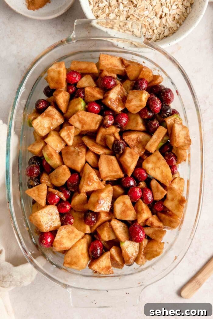 An apple cranberry crisp filling in a glass oval baking dish.