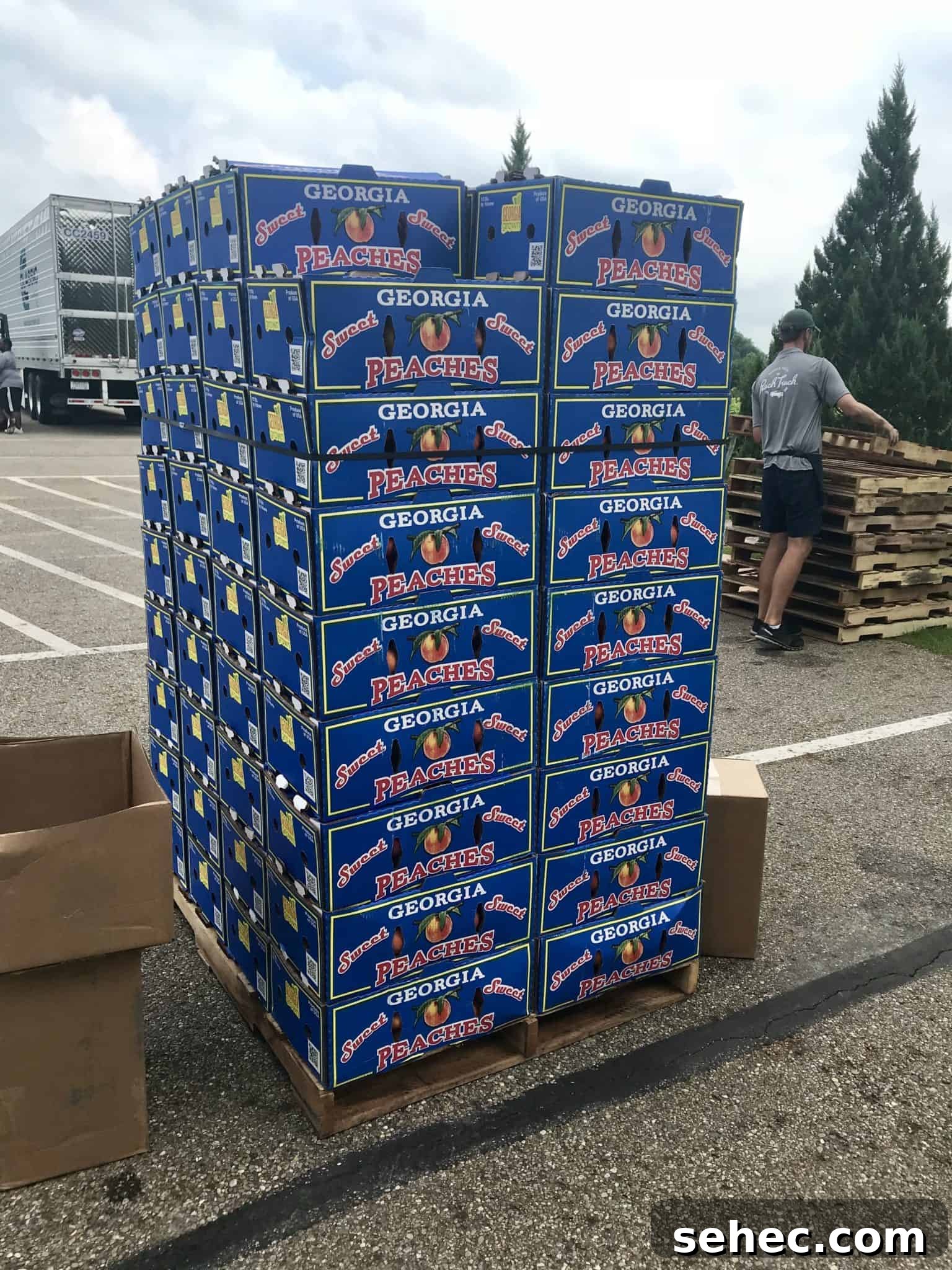 Crates of peaches stacked up in parking lot
