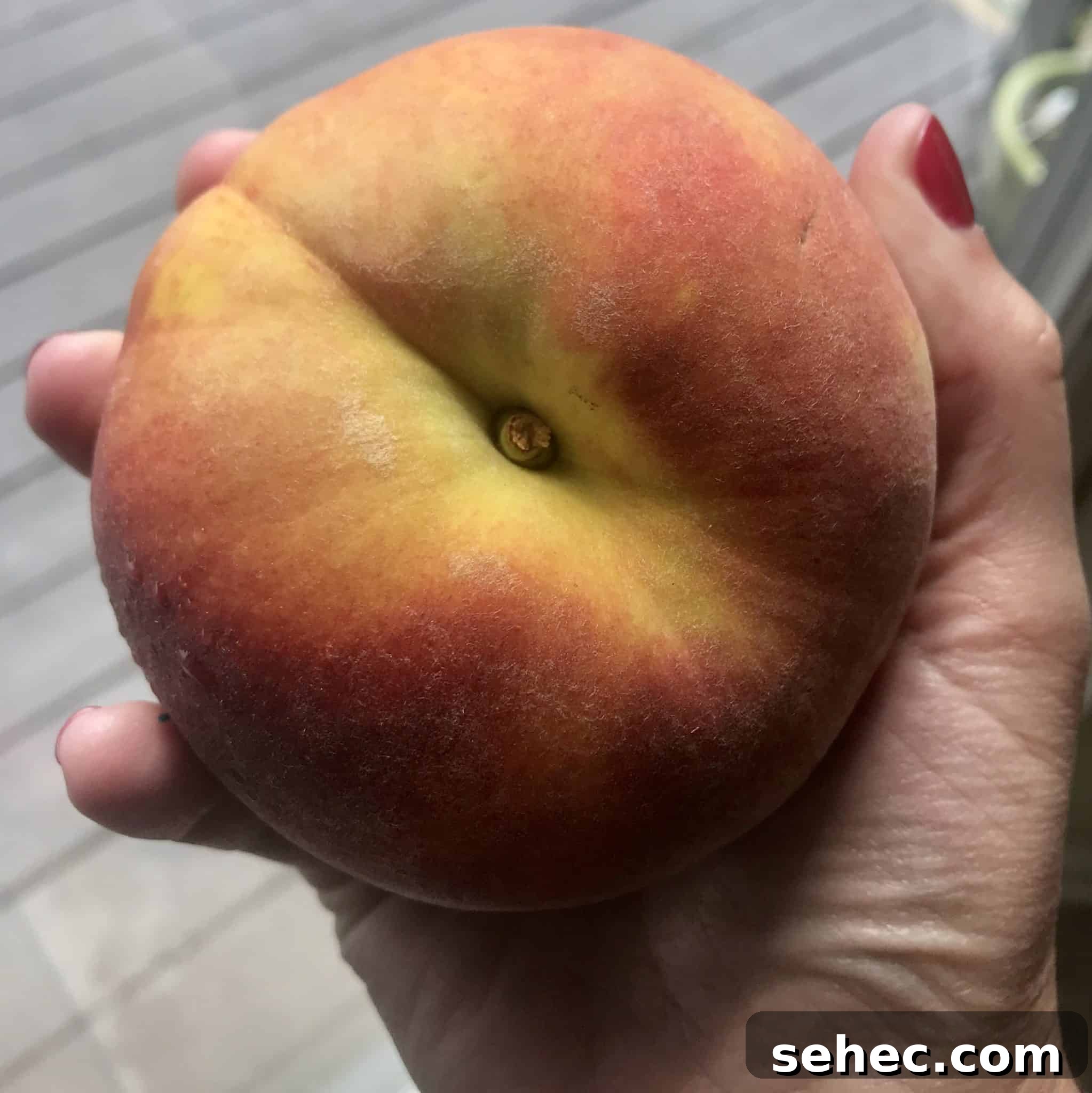 Close up view of huge peach in hand