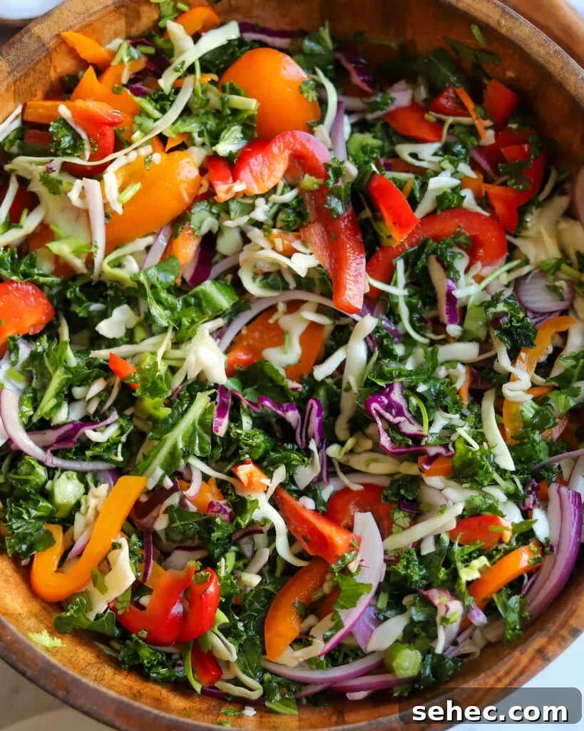 Zesty Crunch Rainbow Slaw Recipe with Colorful Veggies 3 close up view of rainbow slaw with lots of colorful veggies, like peppers, kale, red onions, and more.