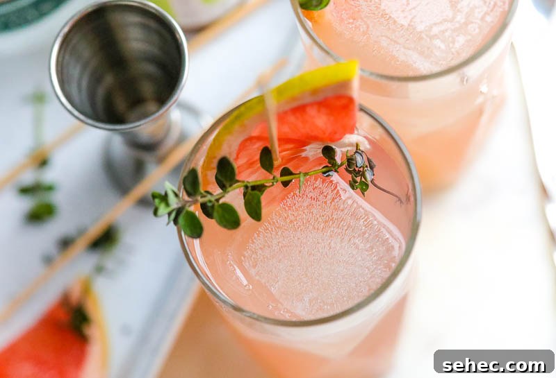 Grapefruit Gin Martini Cocktail Recipe 3 the best gin and vodka cocktails