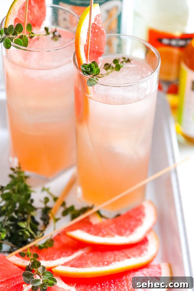 Grapefruit Gin Martini Cocktail Recipe 5 fruit gin cocktail with two glasses and fresh grapefruit
