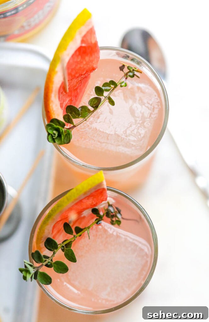Grapefruit Gin Martini Cocktail Recipe 7 top vodka cocktails