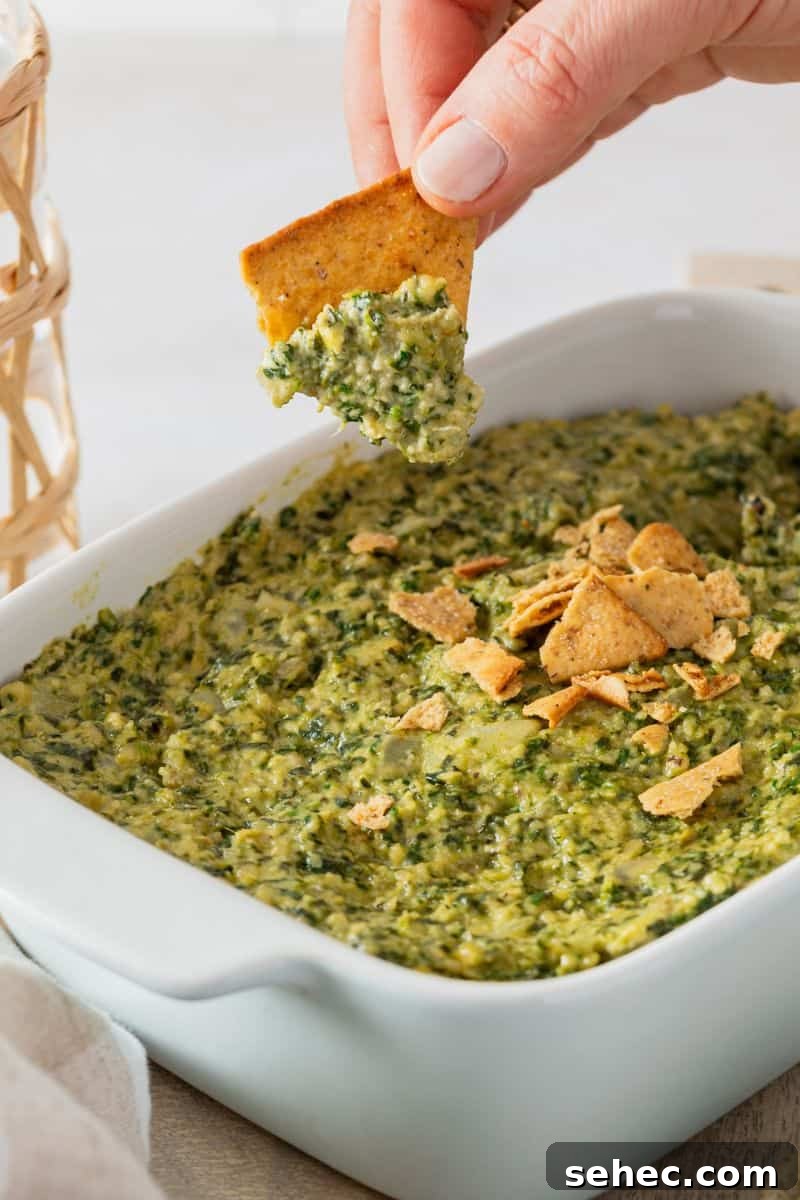 A chip being dipped into a spinach artichoke dip in a casserole dish.